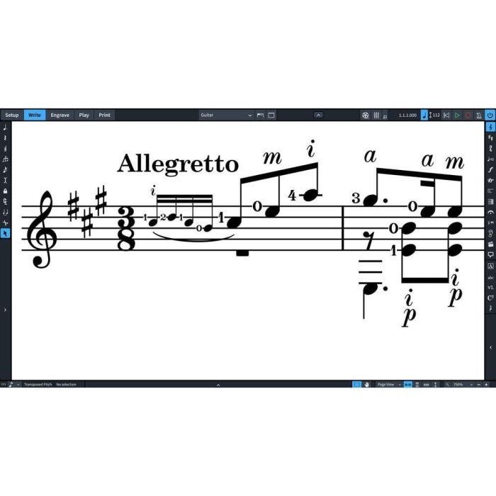 steinberg-studio-software-steinberg-dorico-pro-3-scoring-software-crossgrade-15851468685396_5000x