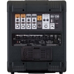 1252499861_IMG_115244