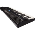 1484214341_IMG_736112