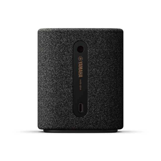 WS-B1A-C-Grey-2-650x650 WS-B1A-C-Grey-2-650x650