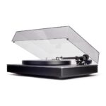 Alva-TT-angle